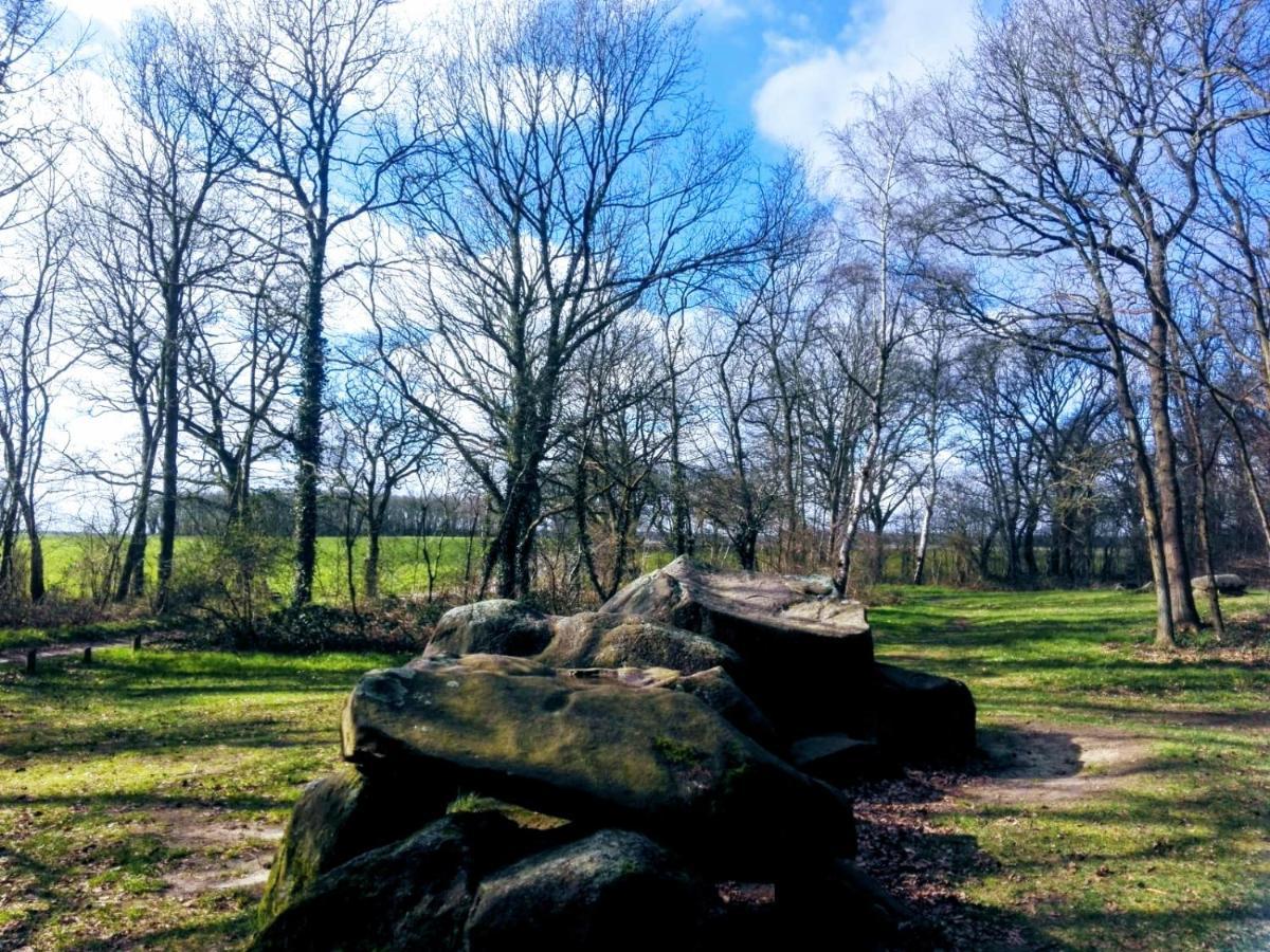 Logeerboerderijtje De Rietkap Gieten Lägenhet Exteriör bild