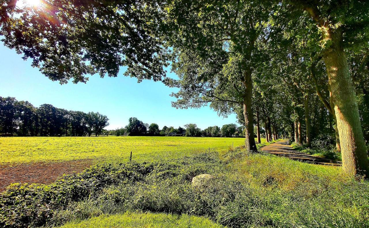 Logeerboerderijtje De Rietkap Gieten Lägenhet Exteriör bild