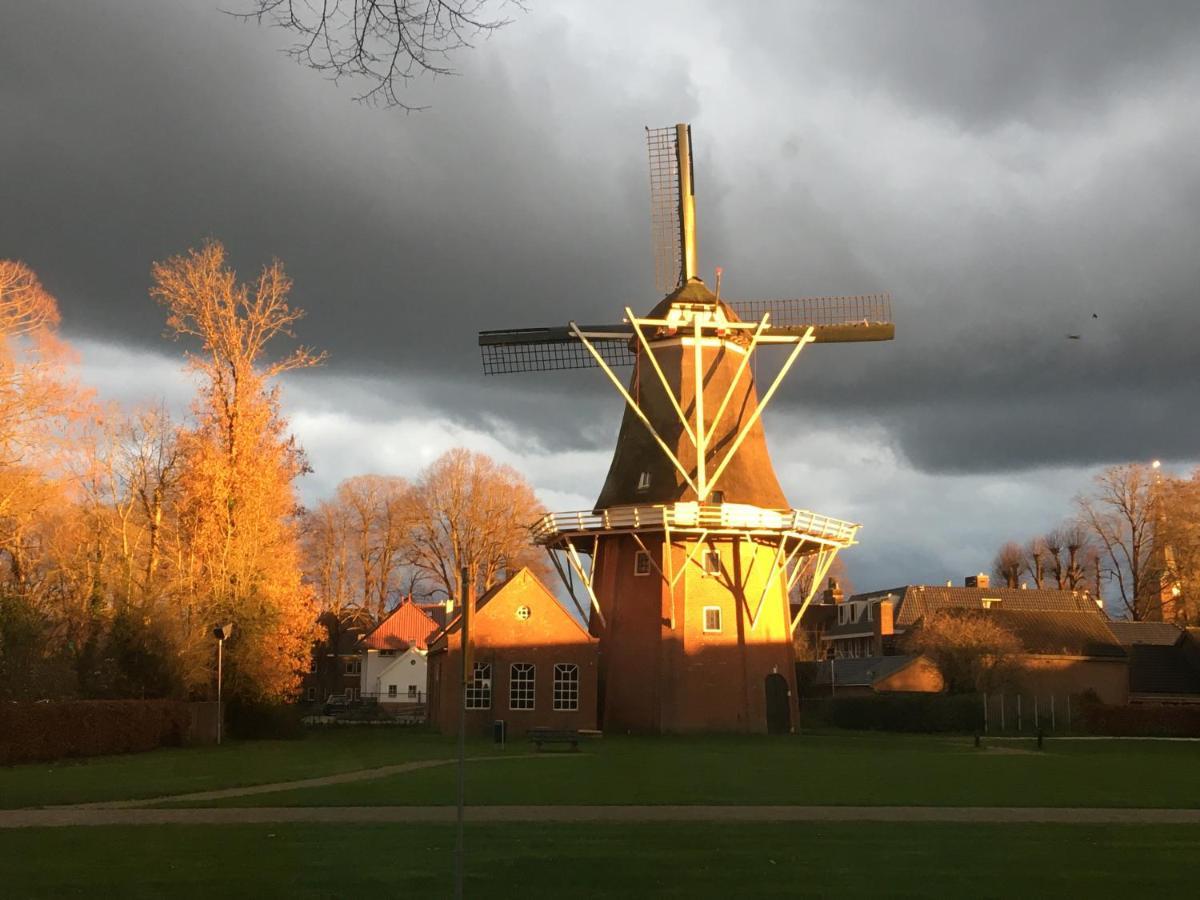 Logeerboerderijtje De Rietkap Gieten Lägenhet Exteriör bild