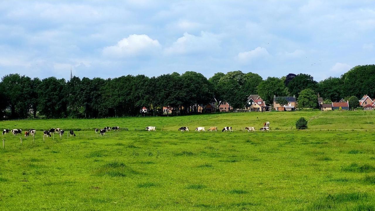 Logeerboerderijtje De Rietkap Gieten Lägenhet Exteriör bild