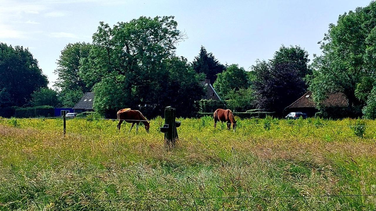 Logeerboerderijtje De Rietkap Gieten Lägenhet Exteriör bild